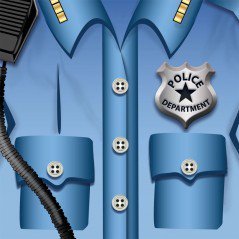 police dessert plates