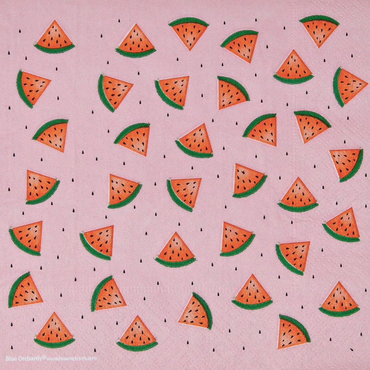 watermelon party supplies packs