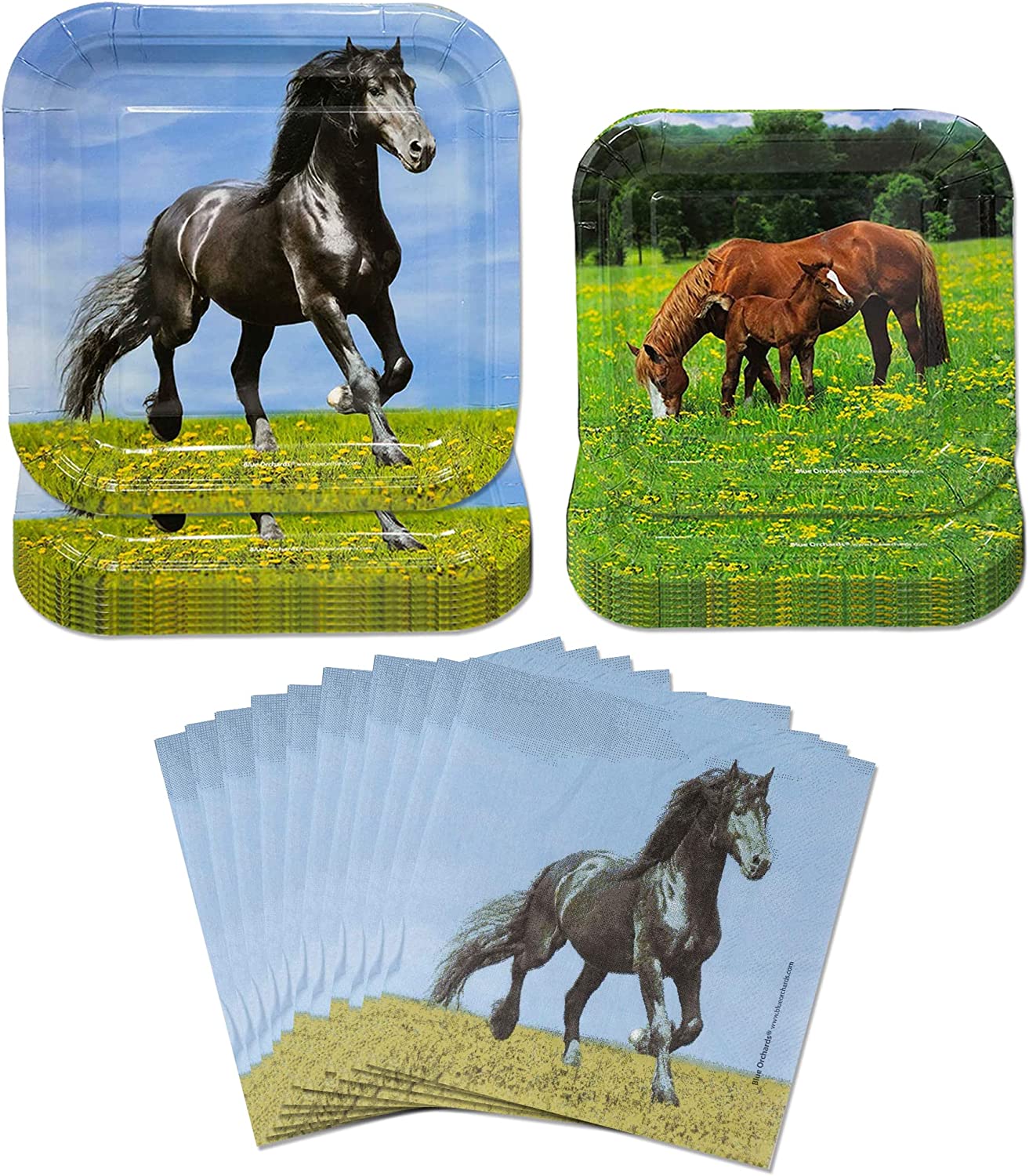 Image of the Horse Party Pack, which includes 16 9-inch paper dinner plates, 16 7-inch paper dessert plates, and 20 paper lunch napkins. This party pack features a fun horse theme, perfect for any equestrian lover's birthday or celebration. The plates and napkins feature a vibrant and colorful horse design.