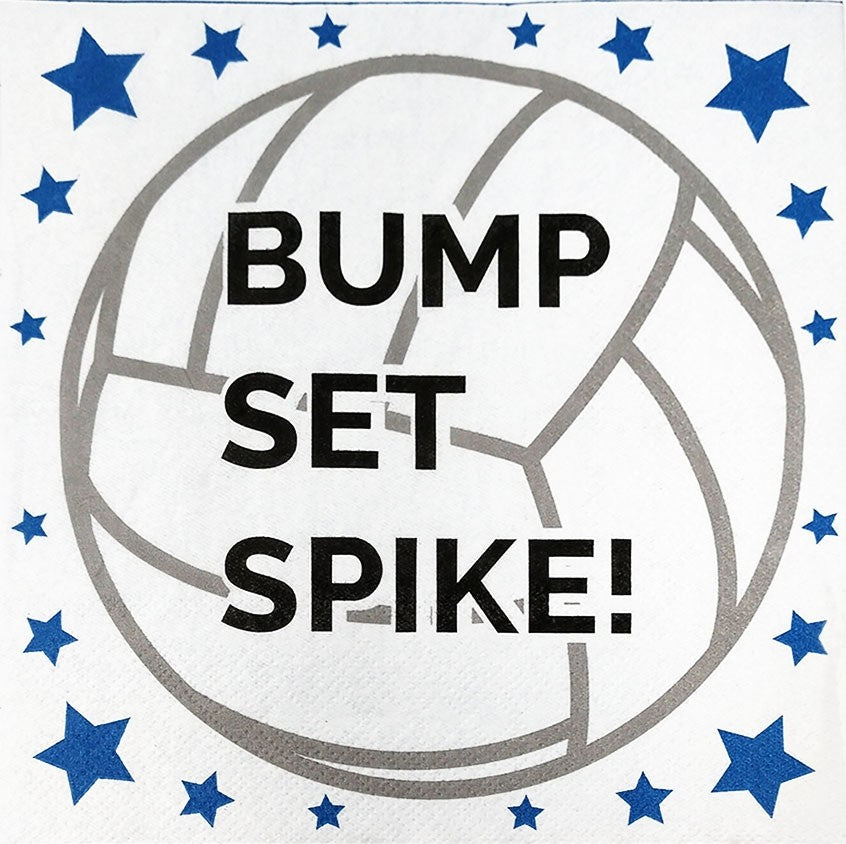 volleyball birthday party supplies kit