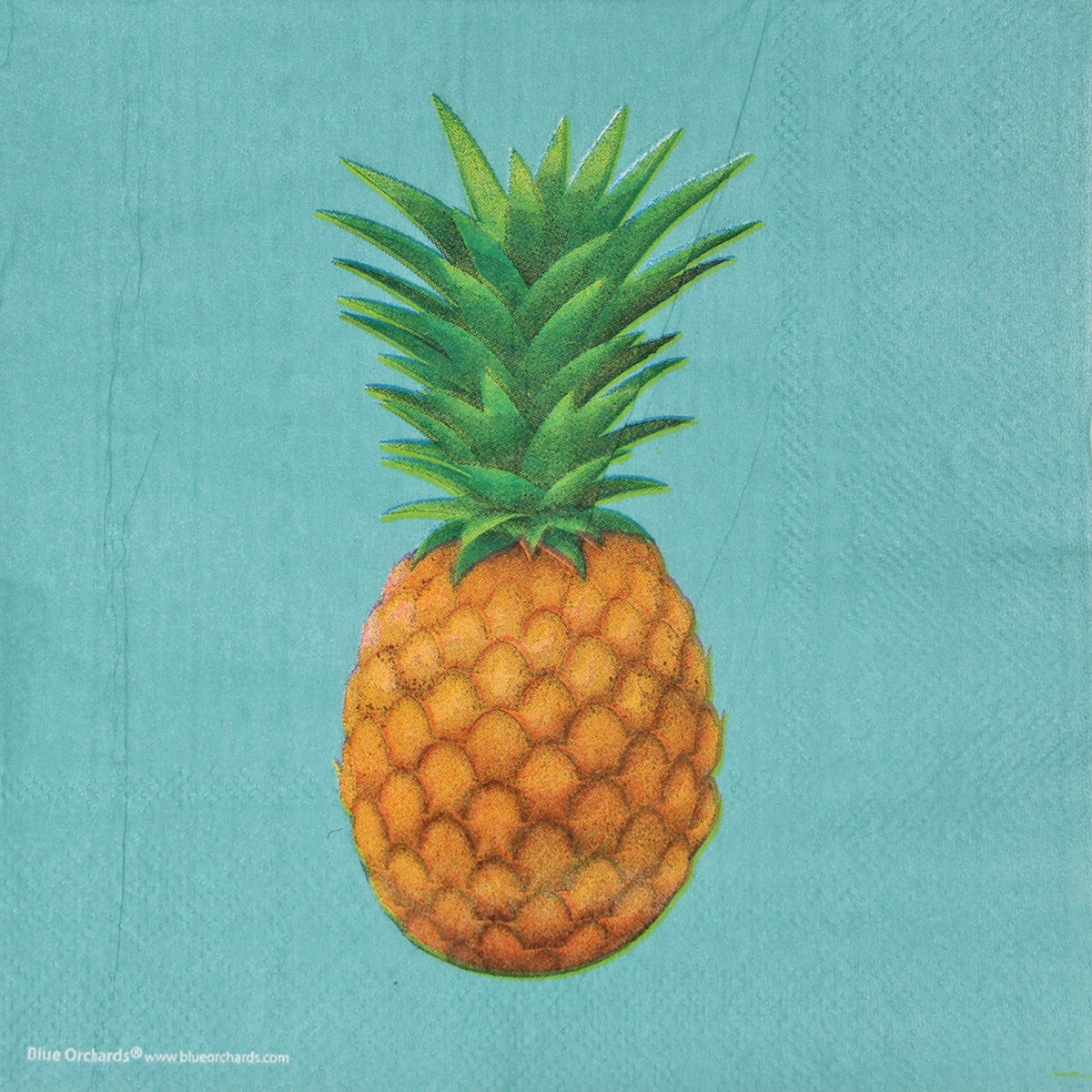  pineapple party supplies packs